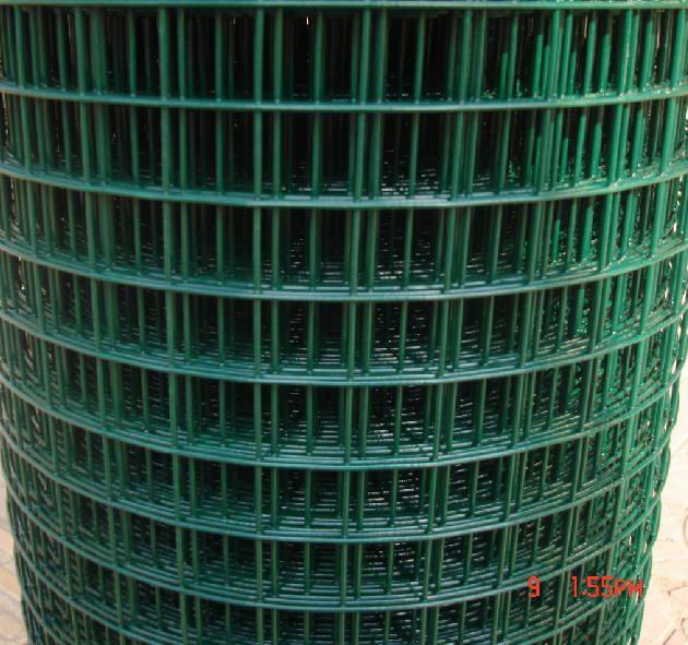 PVC-Coated Welded Wire Mesh with Hole Size 1/2