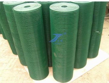 Galvanized Welded Wire Mesh (TS-L12)