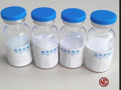 Bottom Price New Products Food Grade Sodium Hyaluronate