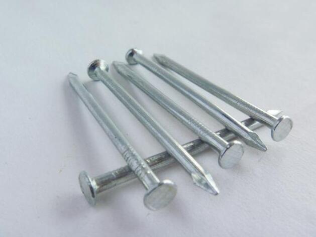 Professional Manufacturer Provide Common Nails
