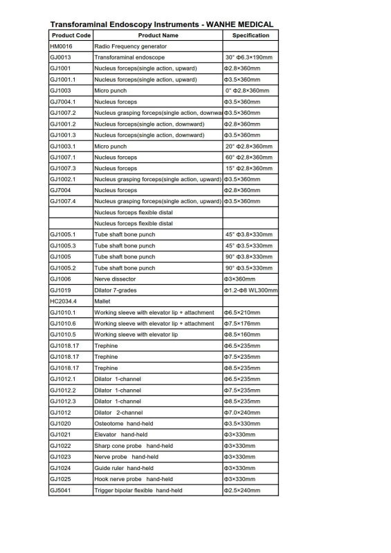 Lumbar Transforaminal Endoscopy Instruments Guiding Ruler