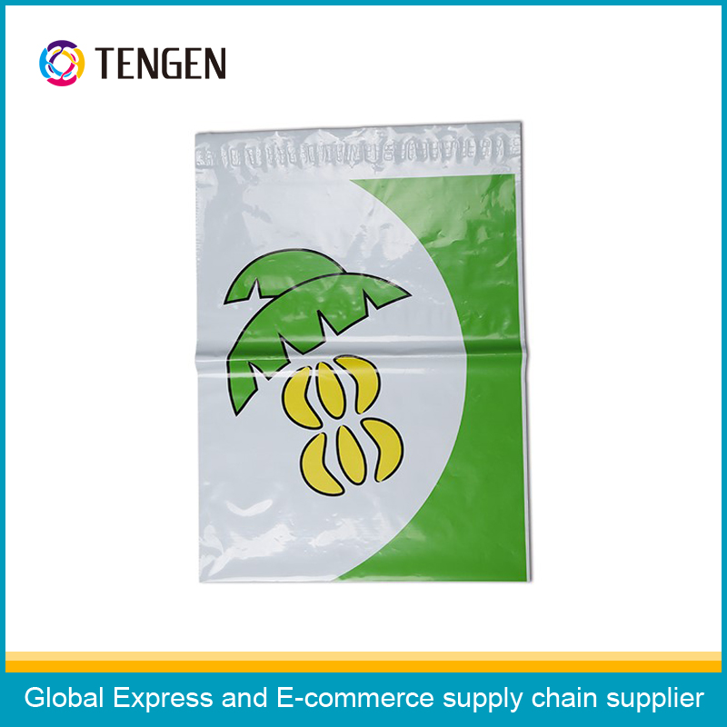 Multi-Color Printing Self-Adhesive Express Packaging Bag