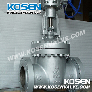 API Cast Steel Gate Valve with Bypass Valve