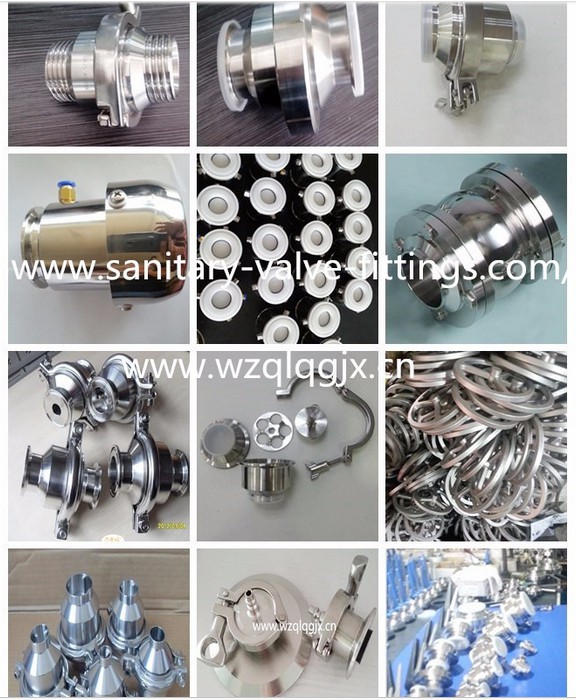 Stainless Steel Sanitary Swing Female Check Valve