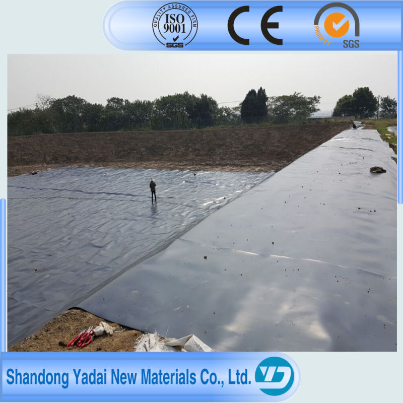 Smooth Surface and Textured Surface HDPE HDPE Geomembrane Covers for Landfills