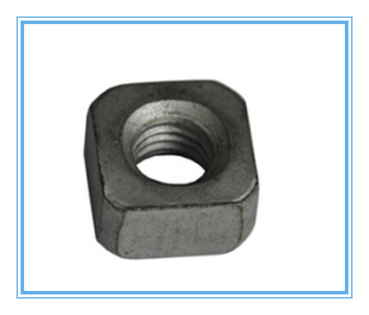 DIN557 Stainless Steel Square Nuts for Industry