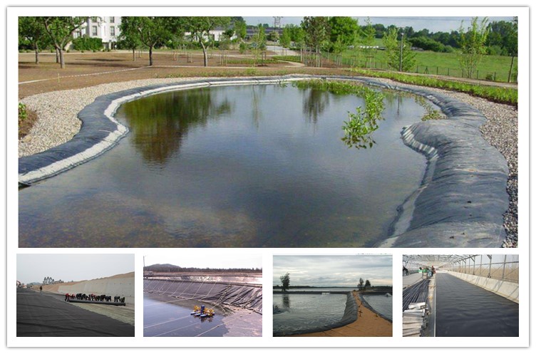 HDPE LDPE Geomembrane Liner for Artificial Lake Waterproofing