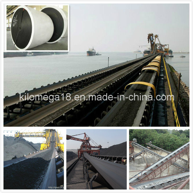 Nn Ep Conveyor Belt to Brazil