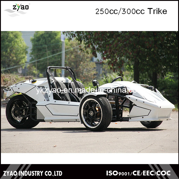 2016 Newest Design Ztr Trike Roadster 250cc EEC Approved