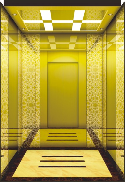 Customized Passenger Elevator with Fine Lift Car Decoration