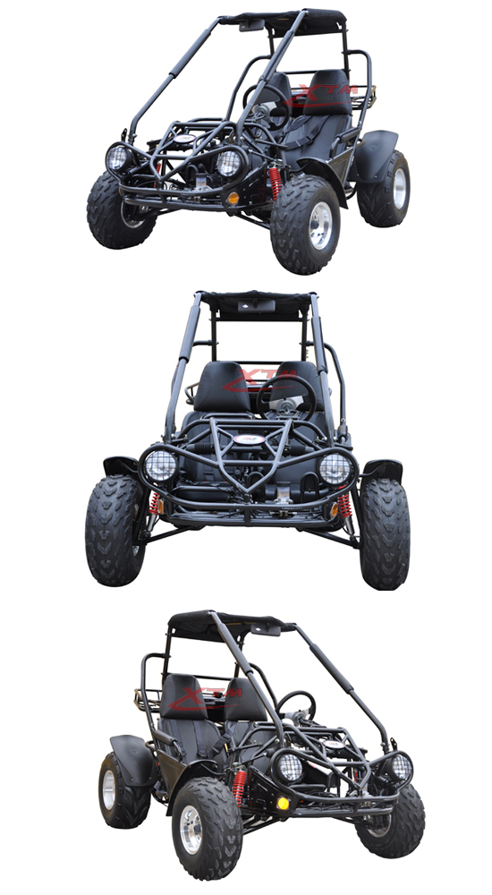 off Road Gas/Petrol 150cc 2 Seat Dune Buggy