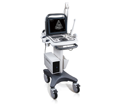 Animal Veterinary Ultrasound B/W Black White Doppler Laptop Veterinary (A6V)