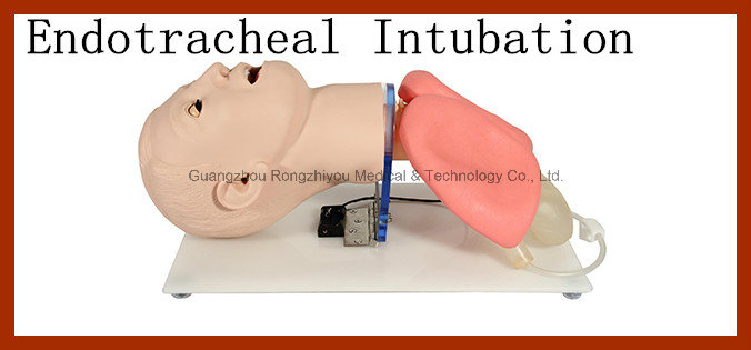 Child Endotracheal Intubation Training Model (educational medical model)