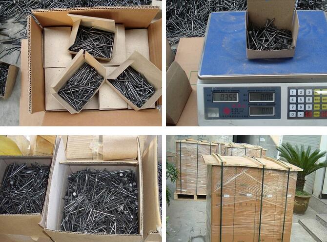 Electric Galvanized Concrete Steel Nails with Fluted Shank