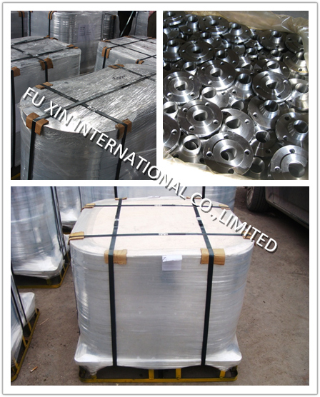 ANSI Stainless Steel Slip on Flange