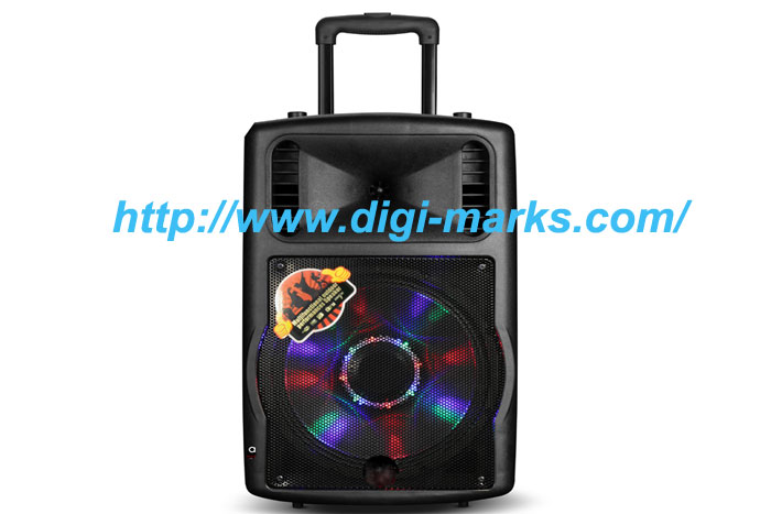 China Famous Brand Trolley DJ Karaoke Speaker with FM Radio