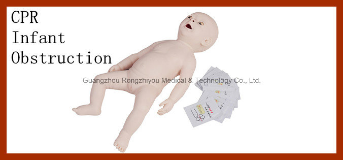 Advanced Adult Obstruction and CPR Training Model