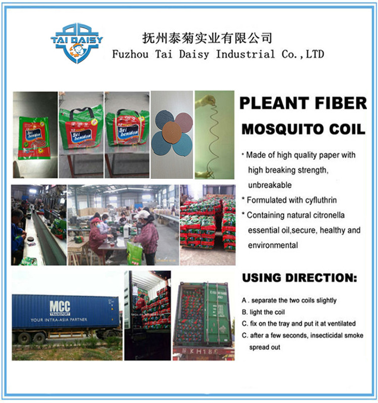 Plant Fibre Mosquito Coil China Supplier of 145mm