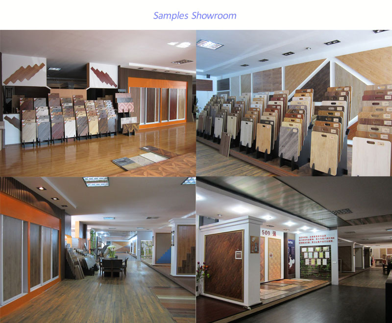 CE Approved Laminated Flooring (Surf)