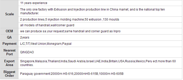 T-Shape Anti-Corrosion Safety Handrail