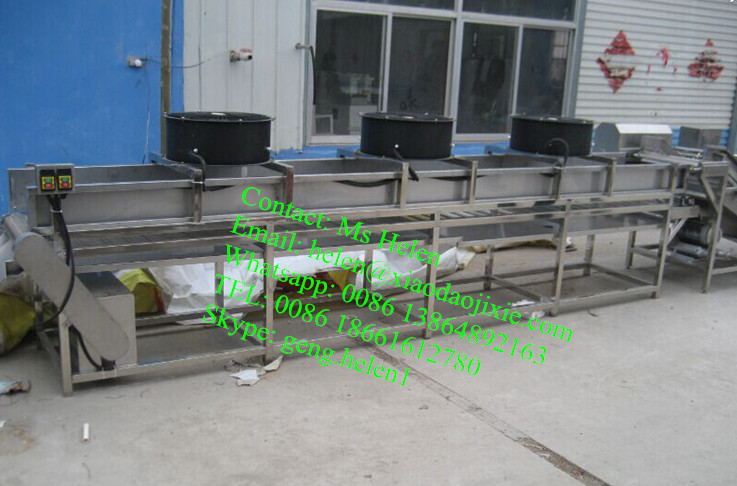 High Quality Potato and Apple Washing Sorting Line