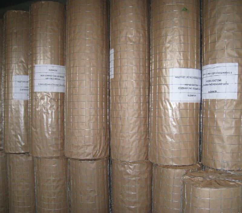 (Hot) Hight Quality Brickwork Reinforcement Coil Mesh