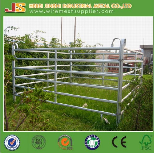 Heavy Duty Galvanized Pipe Cattle Fence Panels for Farm