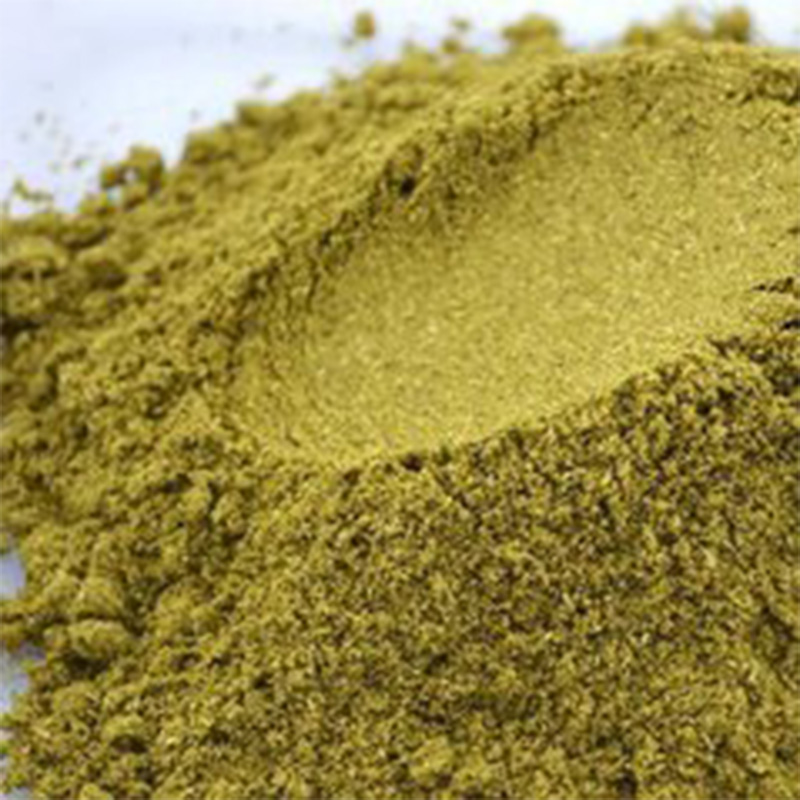 Cumin Seeds Powder Factory Price