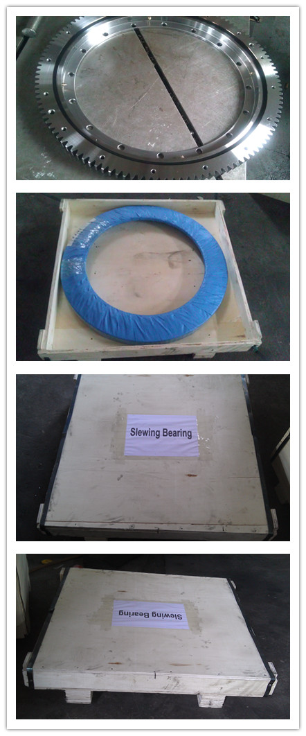 Flange Type Slewing Bearing with Black Oxide Coating 010.20.841