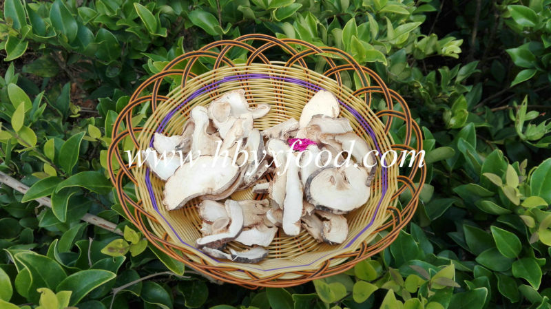 Healthy Food Dried Boletus/Porcini Edulis Mushroom Slices