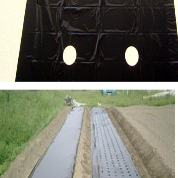 PE Mulching Film with Hole