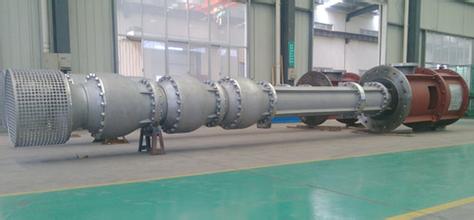 Vertical Long Shaft Centrifugal Water Pump