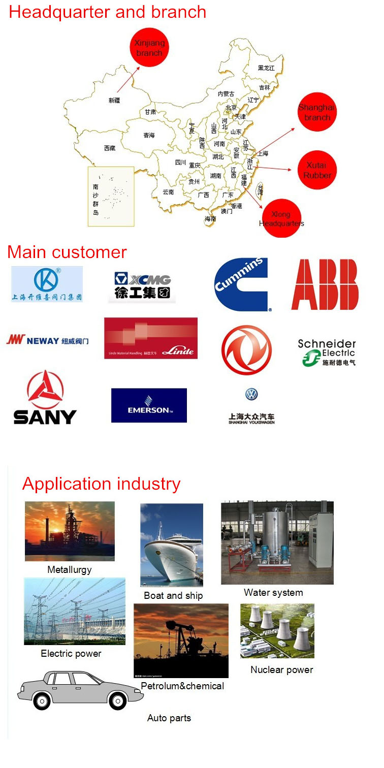 Vane Wheel Pump Seal with Different Material