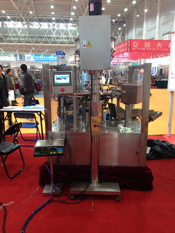 Rotary Type Pre-Made Pouch Packing Machine