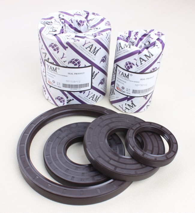 Tg Framework Oil Seal Gasket