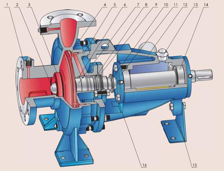 Single Stage Single Suction Centrifugal Pump with Motor