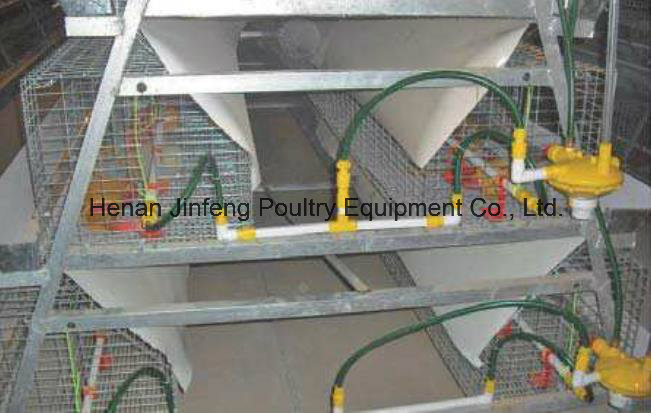 a Type Automatic/Semi-Automatic Poultry Equipment for Pullet Chicken Use