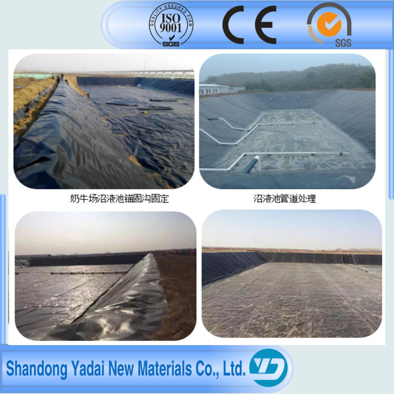 HDPE Geomembrane HDPE Sheets for Waterproofing