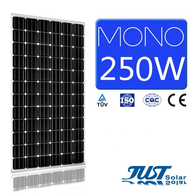 Professional Manfacturer 250W Solar Panel for Power Plant