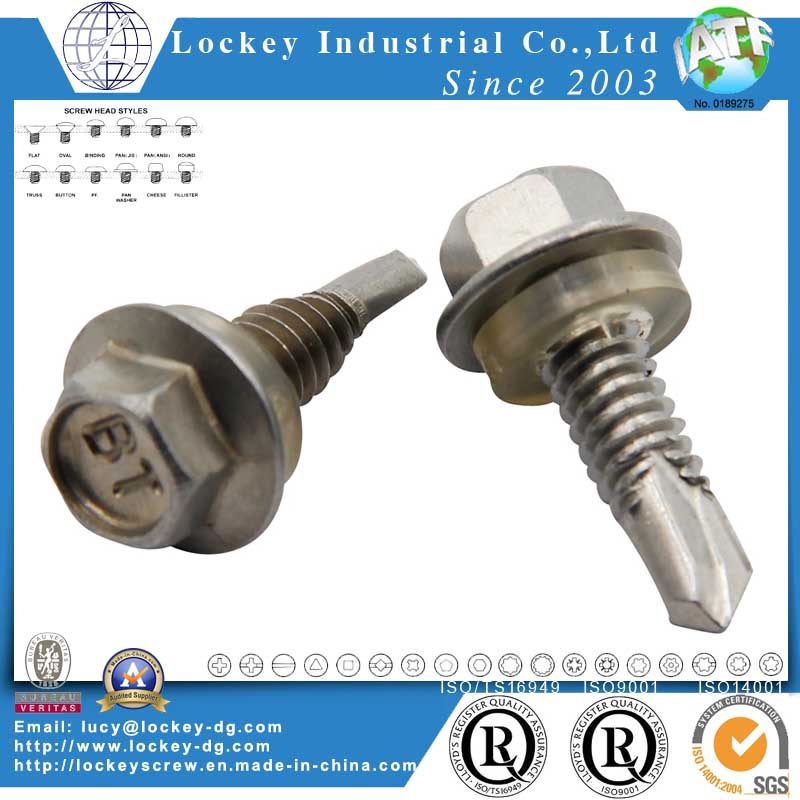 Stainless Steel Tek Screw