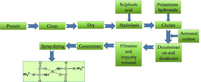 Hot Sale Amino Acid Potassium Organic Fertilizer