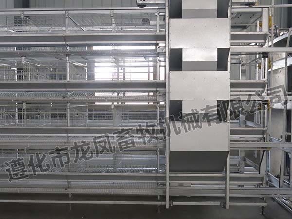 High Quality of Automatic Chicken Cage