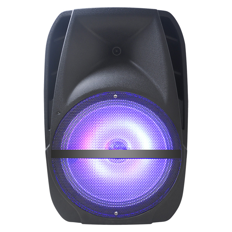 15inch Woofer Battery Speaker System Fs-19d