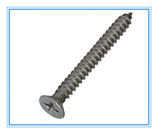 A2 Deck Pozi 304 Stainless Machinery Screws