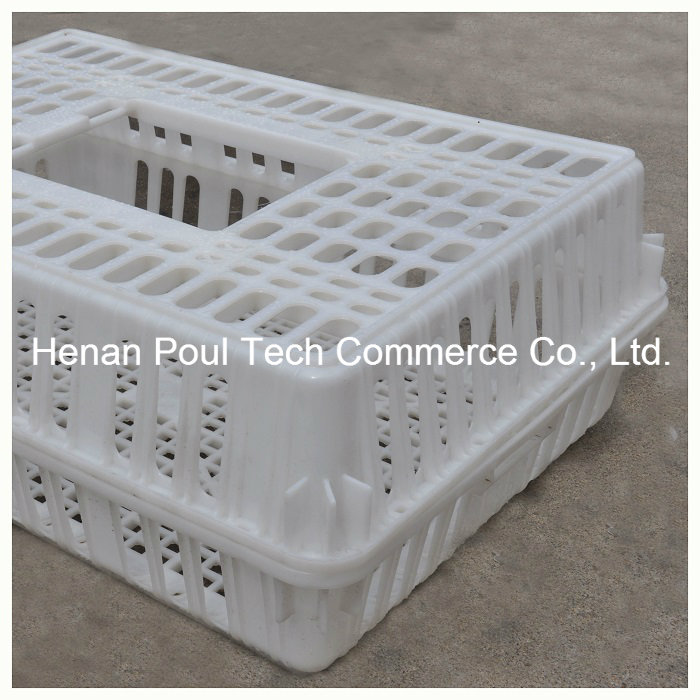 Plastic Chicken Transport Cage