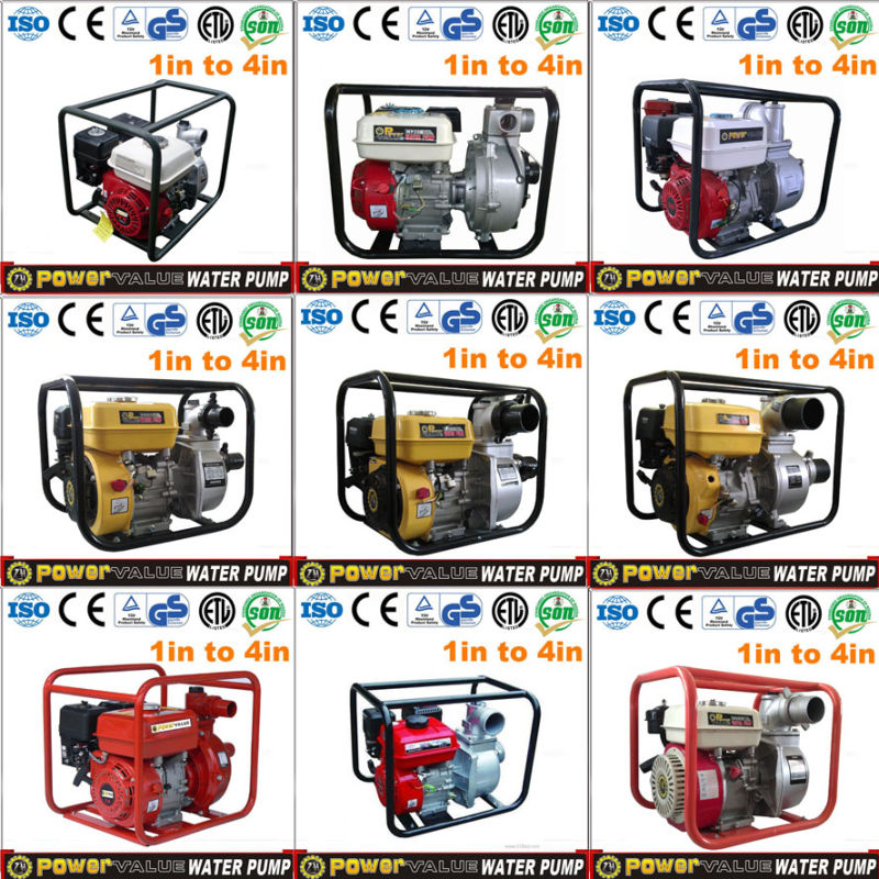 Egypt Gasoline Water Pumps with Good Pump Body