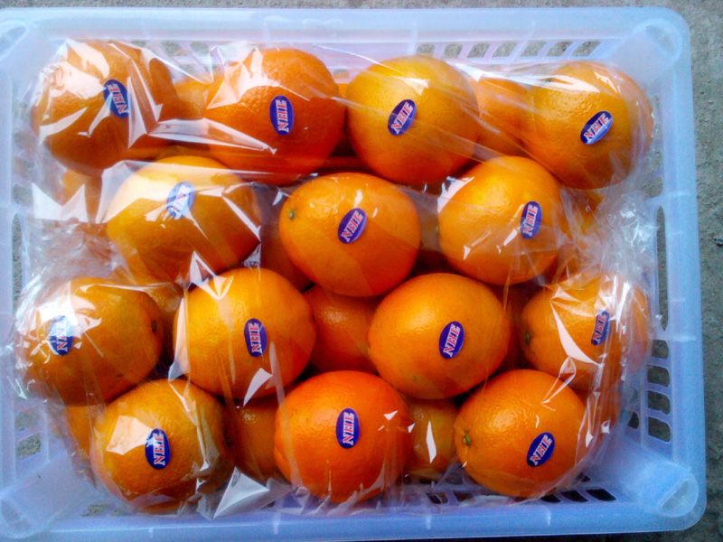 New Crop Delicious Navel Orange (56-64-72/15kg carton)