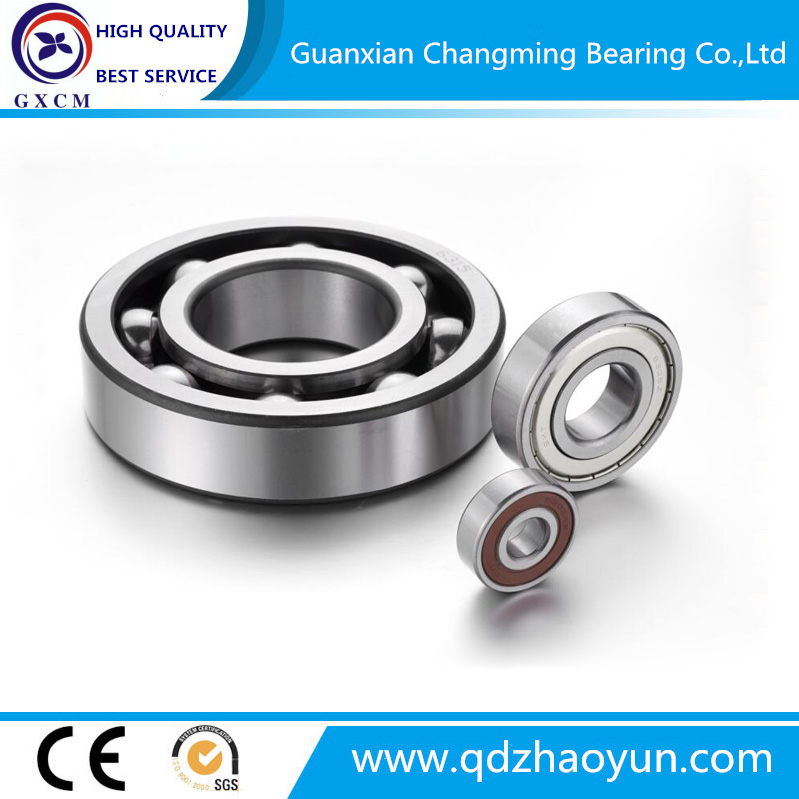 Quality Bearing Low Price Deep Groove Ball Bearing 6300 (10*35*11mm) with Open Z Zz N Rz RS 2rz 2RS