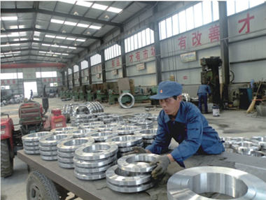 Stainless Steel Flange Rtj Forged Flange to ASME B16.5 (KT0150)