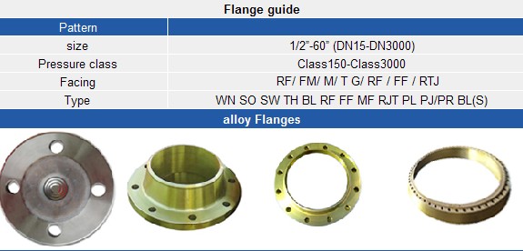 Class 900# Ring Type Joint Flanges